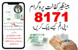 8171 Web Portal
