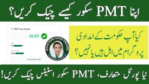 PMT Score of BISP Program