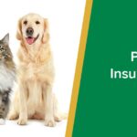 Best Pet Insurance Companies Reviewed — Save on Vet Bills