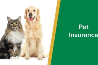 Best Pet Insurance Companies Reviewed — Save on Vet Bills