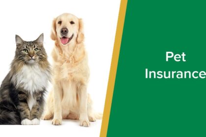 Best Pet Insurance Companies Reviewed — Save on Vet Bills